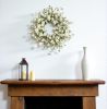 23" Green and White Artificial Spring Daisy Wreath