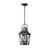 Black Outdoor Pendant Light 2-Light Outside Pendant Hanging Light Fixture Ceiling Mount with Clear Glass Industrial Hanging Cage Chandelier for Porch
