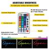 VEVOR LED Open Sign, 22" x 9" Neon Open Sign for Business, Multiple Flashing and Color Modes Neon Lights Signs with Remote Control and Power Adapter