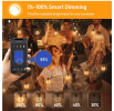 50-light 100ft LED Globe String Lights Bluetooth App Control