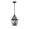 Outdoor Pendant Light Fixture
