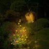 Solar Watering Can with Lights